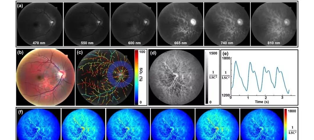 乐视网络电视官方下载