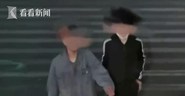 视频｜俩男子菜市场深夜偷换100多张收款码 结果悲剧了休闲区蓝鸢梦想 - Www.slyday.coM