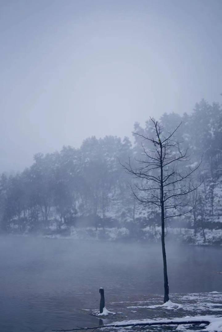 在家看一场认真的雪这也太美了吧
