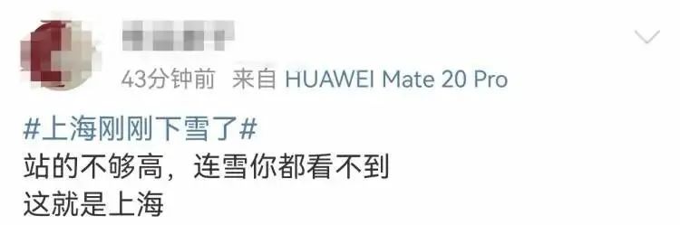 热搜骗人！上海下个雪怎么那么难？原来是我站得不够高...休闲区蓝鸢梦想 - Www.slyday.coM