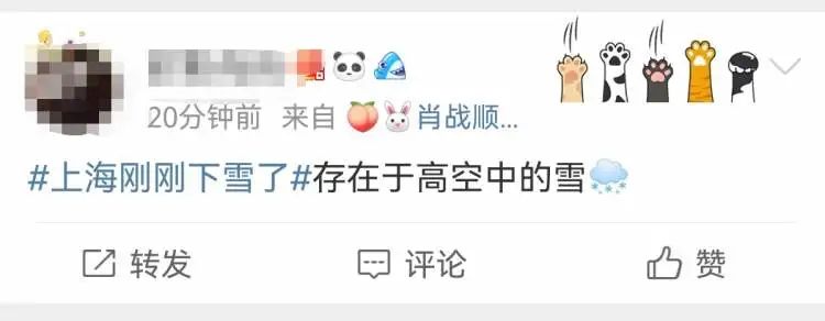 热搜骗人！上海下个雪怎么那么难？原来是我站得不够高...休闲区蓝鸢梦想 - Www.slyday.coM