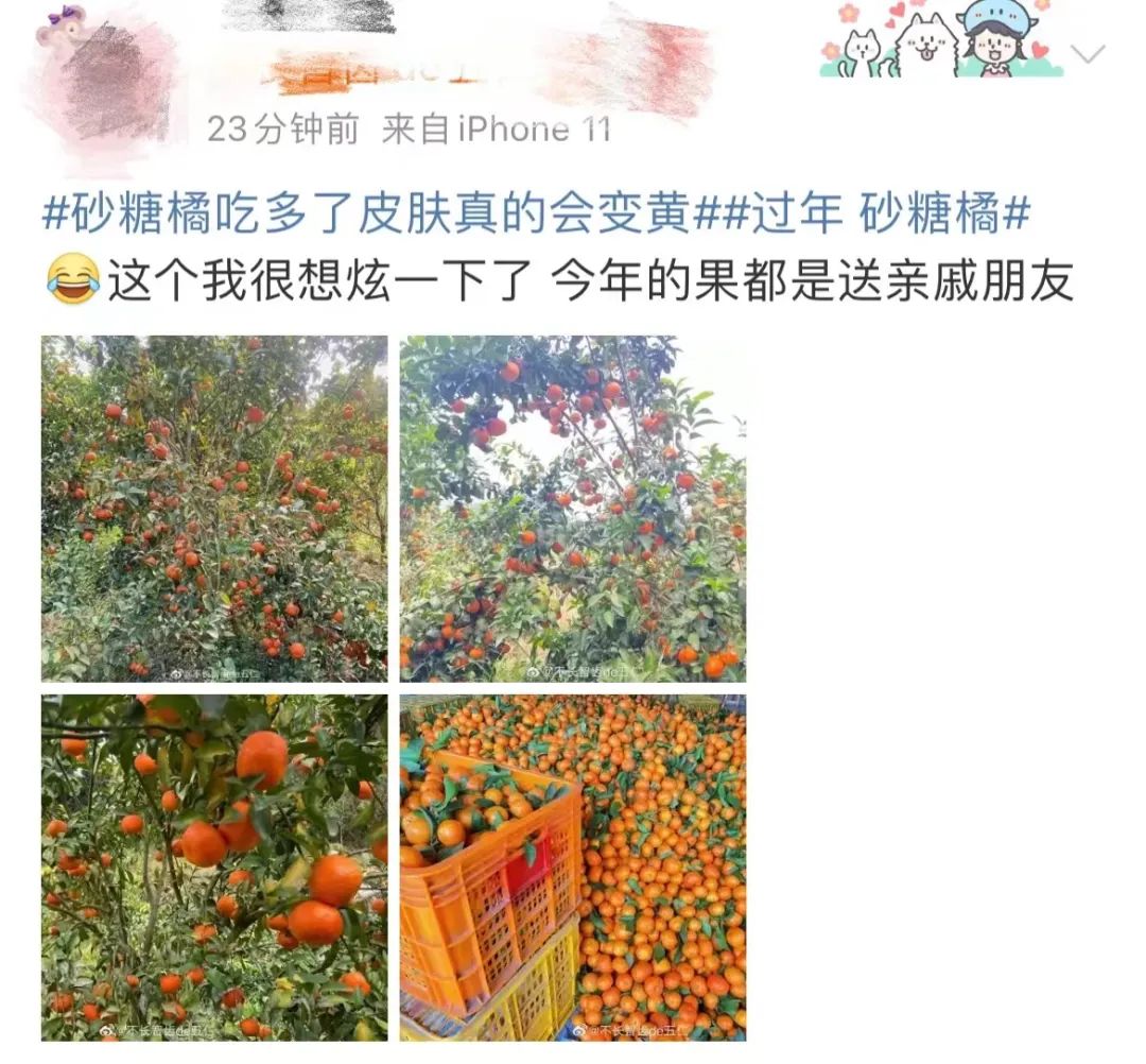 “没有一袋砂糖橘能过夜”冲上热搜！吃多了，皮肤真的会变黄休闲区蓝鸢梦想 - Www.slyday.coM