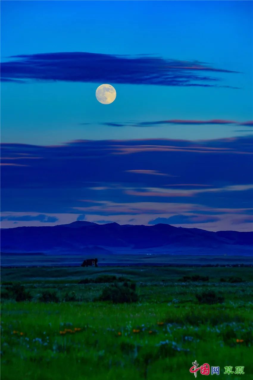 新年暖歌 | 《月亮的那边有你》,送给远方的ta|月亮的那边有你_新浪