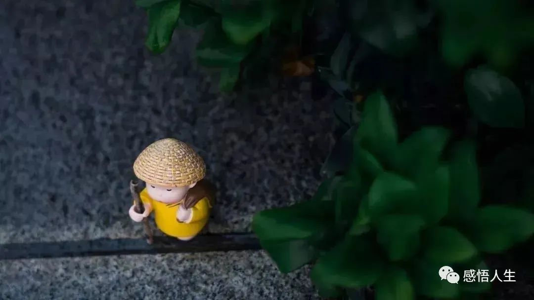 闲人愁多懒人病多忙人说的太对了