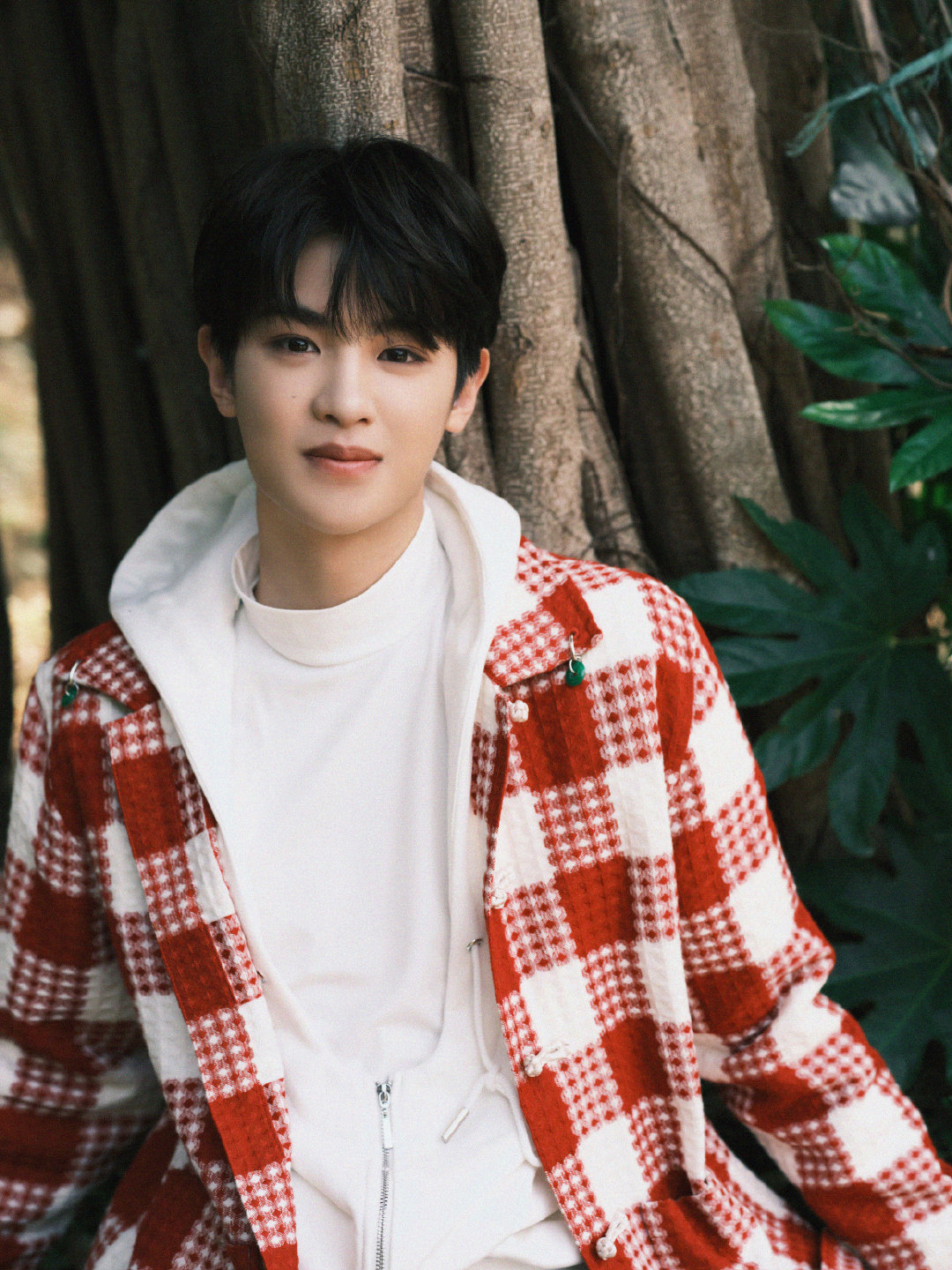 黄明昊竹林写真身穿红色格子上衣的小贾元气满满