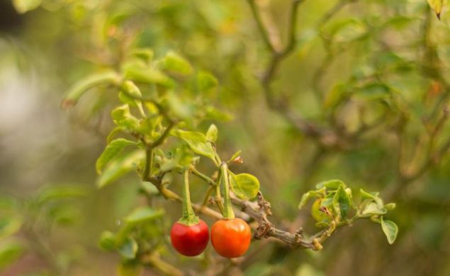 隐忍力强大的星座,他们可以做到卧薪尝胆,始终坚定理想不放弃休闲区蓝鸢梦想 - Www.slyday.coM 隐忍力强大的星座,他们可以做到卧薪尝胆,始终坚定理想不放弃休闲区蓝鸢梦想 - Www.slyday.coM