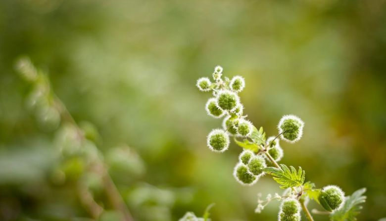 隐忍力强大的星座,他们可以做到卧薪尝胆,始终坚定理想不放弃休闲区蓝鸢梦想 - Www.slyday.coM 隐忍力强大的星座,他们可以做到卧薪尝胆,始终坚定理想不放弃休闲区蓝鸢梦想 - Www.slyday.coM