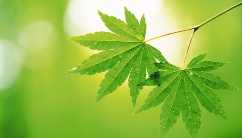 隐忍力强大的星座,他们可以做到卧薪尝胆,始终坚定理想不放弃休闲区蓝鸢梦想 - Www.slyday.coM 隐忍力强大的星座,他们可以做到卧薪尝胆,始终坚定理想不放弃休闲区蓝鸢梦想 - Www.slyday.coM