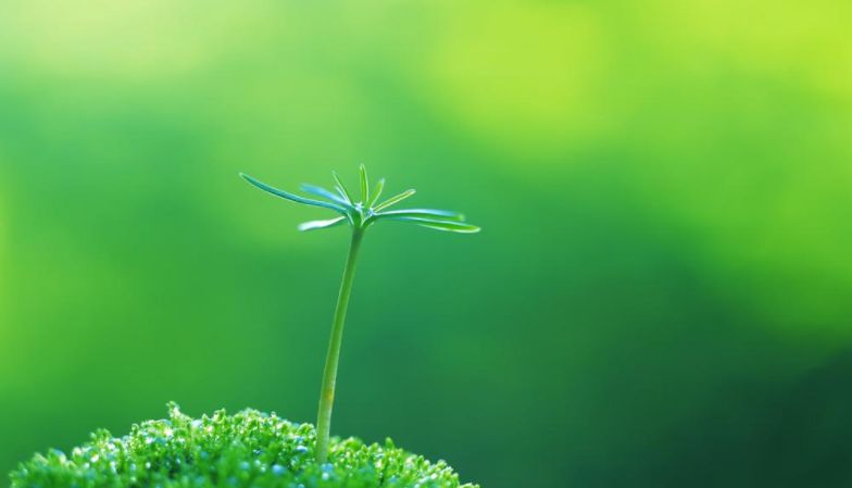 隐忍力强大的星座,他们可以做到卧薪尝胆,始终坚定理想不放弃休闲区蓝鸢梦想 - Www.slyday.coM 隐忍力强大的星座,他们可以做到卧薪尝胆,始终坚定理想不放弃休闲区蓝鸢梦想 - Www.slyday.coM