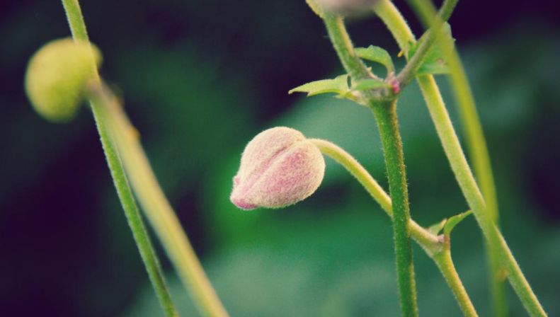 隐忍力强大的星座,他们可以做到卧薪尝胆,始终坚定理想不放弃休闲区蓝鸢梦想 - Www.slyday.coM 隐忍力强大的星座,他们可以做到卧薪尝胆,始终坚定理想不放弃休闲区蓝鸢梦想 - Www.slyday.coM