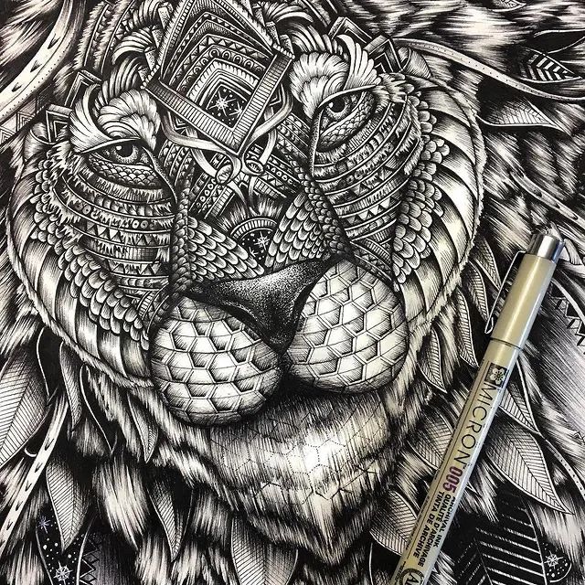 一幅动物肖像耗时100小时错综复杂的细节网友这才是匠人