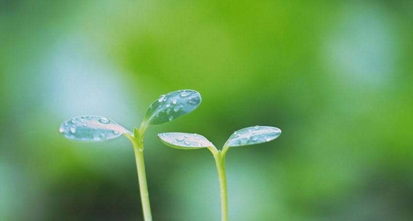 隐忍力强大的星座,他们可以做到卧薪尝胆,始终坚定理想不放弃休闲区蓝鸢梦想 - Www.slyday.coM 隐忍力强大的星座,他们可以做到卧薪尝胆,始终坚定理想不放弃休闲区蓝鸢梦想 - Www.slyday.coM