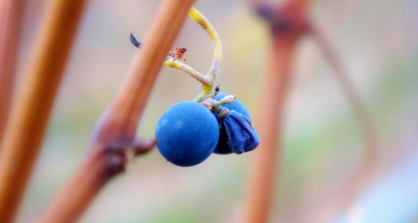 隐忍力强大的星座,他们可以做到卧薪尝胆,始终坚定理想不放弃休闲区蓝鸢梦想 - Www.slyday.coM 隐忍力强大的星座,他们可以做到卧薪尝胆,始终坚定理想不放弃休闲区蓝鸢梦想 - Www.slyday.coM
