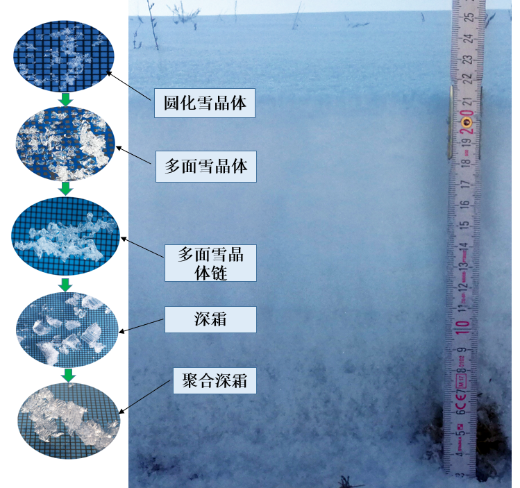 由于自然雪花为扁平状,落地后相互交织在一起,因此积雪孔隙率高,密度