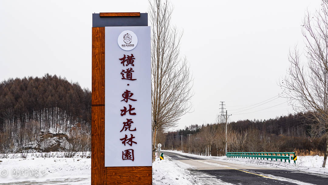 横道河子东北虎林园千只东北虎栖息地