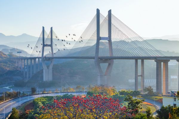 花是一座城 城是一朵花 攀枝花:火红的祝福送给世界|攀枝花市_新浪