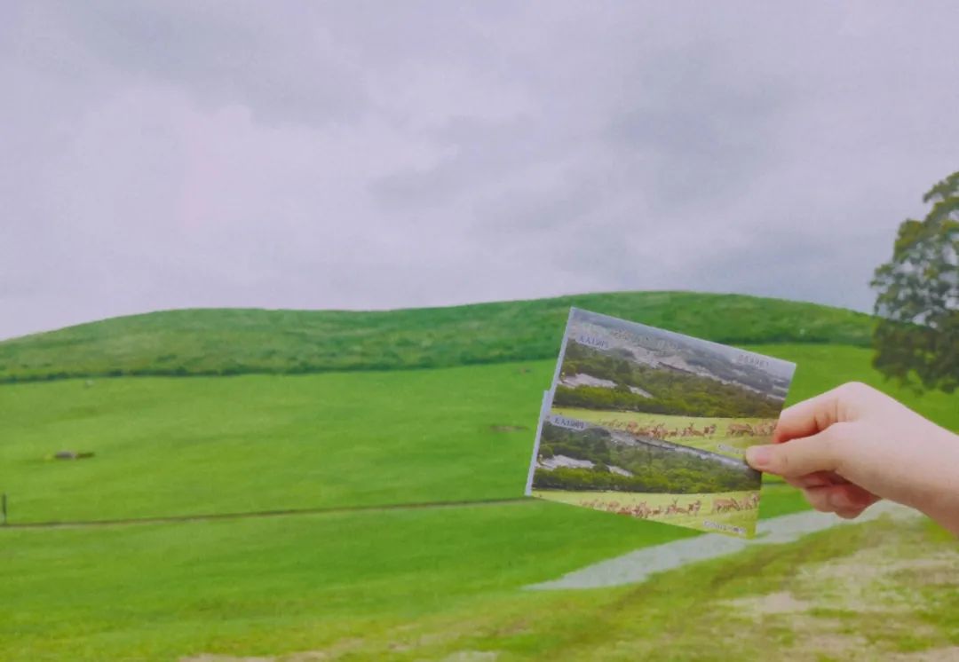 今年春节，我们在日本的华人又不能回家了…休闲区蓝鸢梦想 - Www.slyday.coM