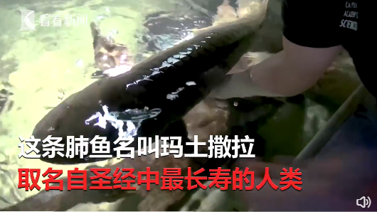 1月30日休闲区蓝鸢梦想 - Www.slyday.coM