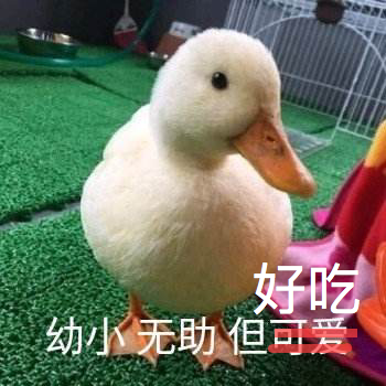 除夕年夜饭你家都备了哪些菜？休闲区蓝鸢梦想 - Www.slyday.coM