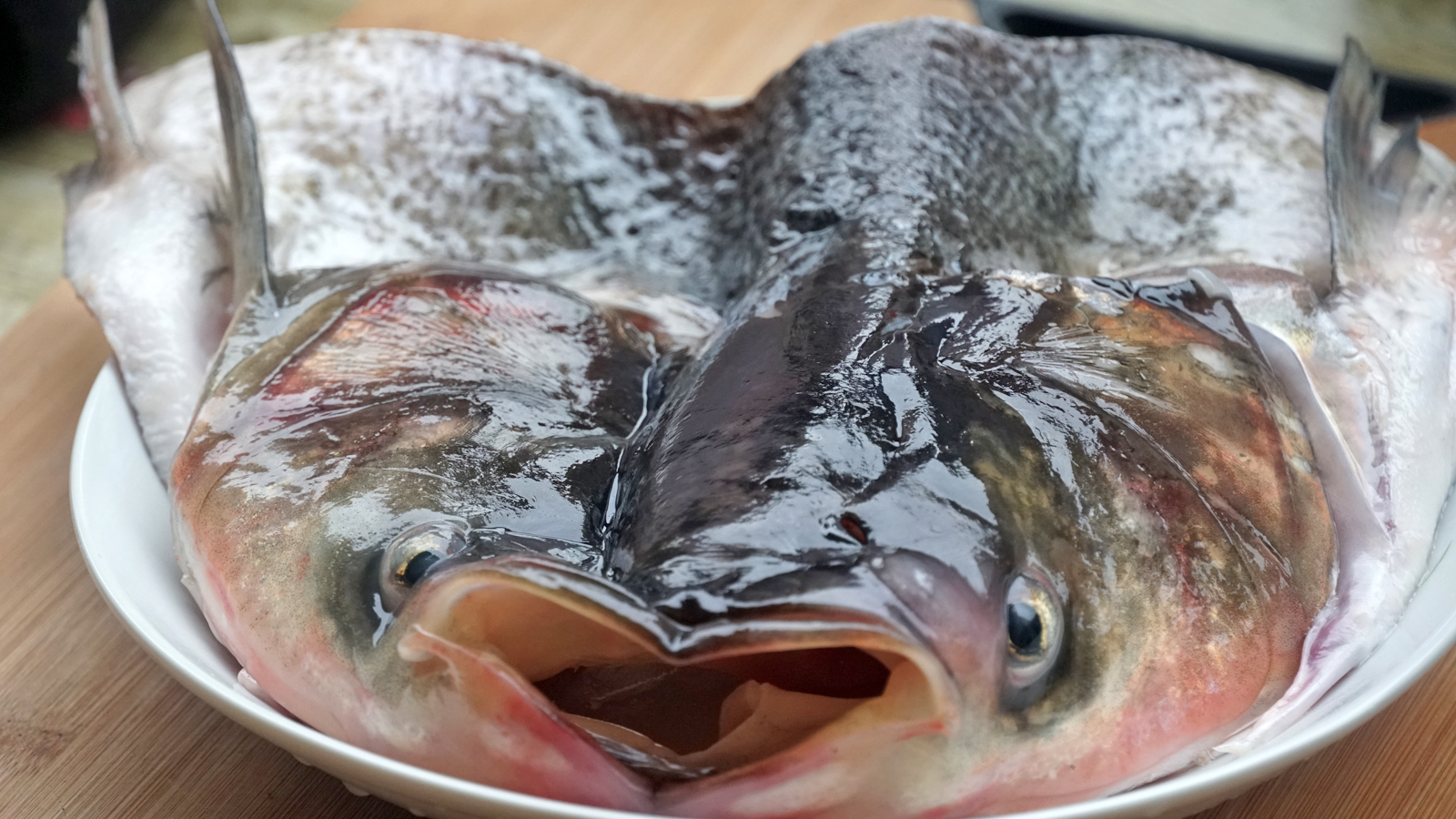 大年初一,牢记“五吃六不做”,寓意虎年顺利大吉,老传统不能忘休闲区蓝鸢梦想 - Www.slyday.coM 大年初一,牢记“五吃六不做”,寓意虎年顺利大吉,老传统不能忘休闲区蓝鸢梦想 - Www.slyday.coM