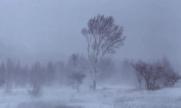 天气预报:明天大年初一,出现大风,啥预兆?看老祖宗留下谚语休闲区蓝鸢梦想 - Www.slyday.coM 天气预报:明天大年初一,出现大风,啥预兆?看老祖宗留下谚语休闲区蓝鸢梦想 - Www.slyday.coM