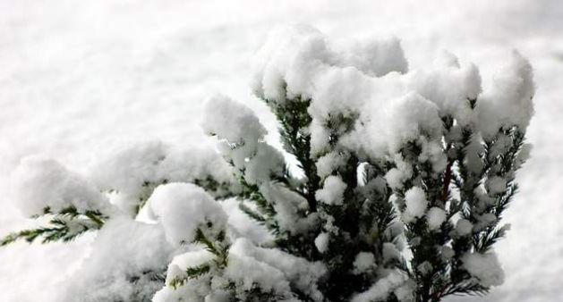 除夕再迎寒潮，雪连下3天，有何预兆？邋遢年来了？农谚怎么说休闲区蓝鸢梦想 - Www.slyday.coM