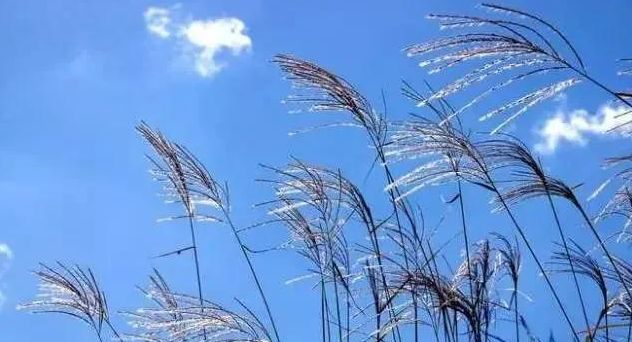 天气预报:明天大年初一,出现大风,啥预兆?看老祖宗留下谚语休闲区蓝鸢梦想 - Www.slyday.coM 天气预报:明天大年初一,出现大风,啥预兆?看老祖宗留下谚语休闲区蓝鸢梦想 - Www.slyday.coM