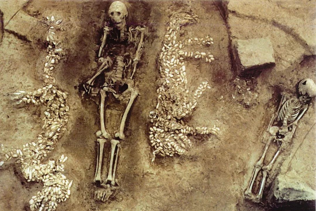 最著名的当属河南省濮阳县西水坡遗址的蚌塑龙虎图案