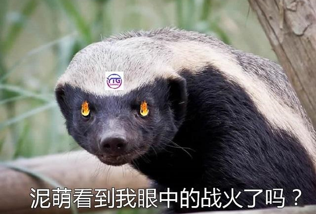 四强就是胜利，XYG打了很多战队的脸！KPL哪些战队还没拿过四强休闲区蓝鸢梦想 - Www.slyday.coM