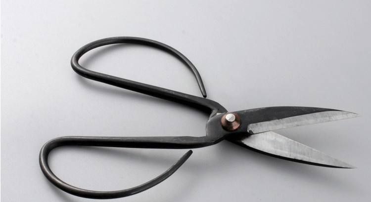 明日初一,记得“5事不做,3物不吃”,虎年大吉大利,别不当回事休闲区蓝鸢梦想 - Www.slyday.coM 明日初一,记得“5事不做,3物不吃”,虎年大吉大利,别不当回事休闲区蓝鸢梦想 - Www.slyday.coM