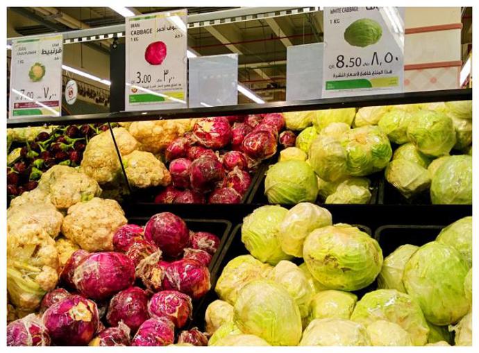 中国小伙放弃卖石油，在沙漠中种青菜，成卡塔尔前100名富豪休闲区蓝鸢梦想 - Www.slyday.coM