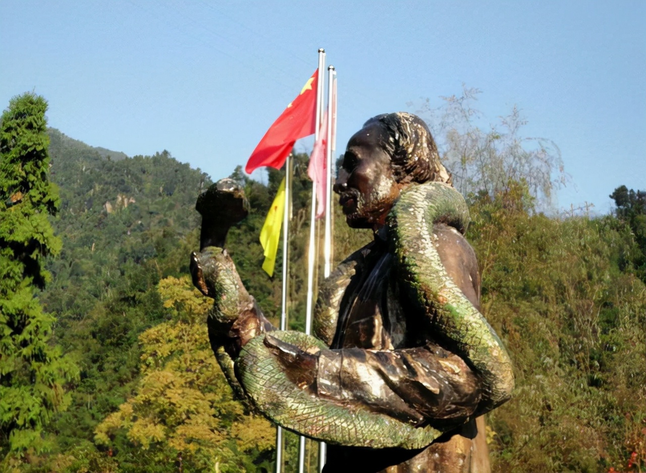 莽山烙铁头的毒性有多强眼镜王蛇银环蛇和它相比谁更危险