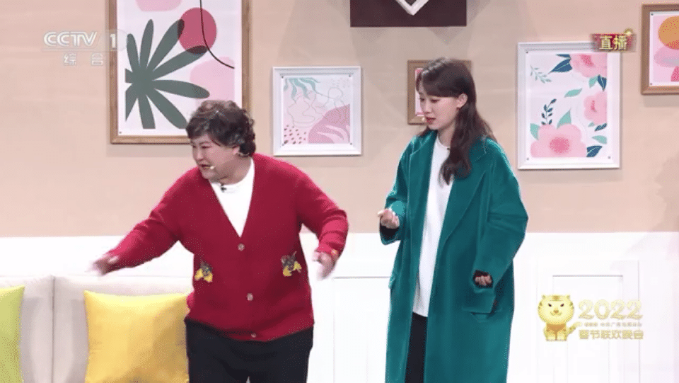 央视春晚进行中贾玲张小斐在小品中说我这只爱情鸟飞走了