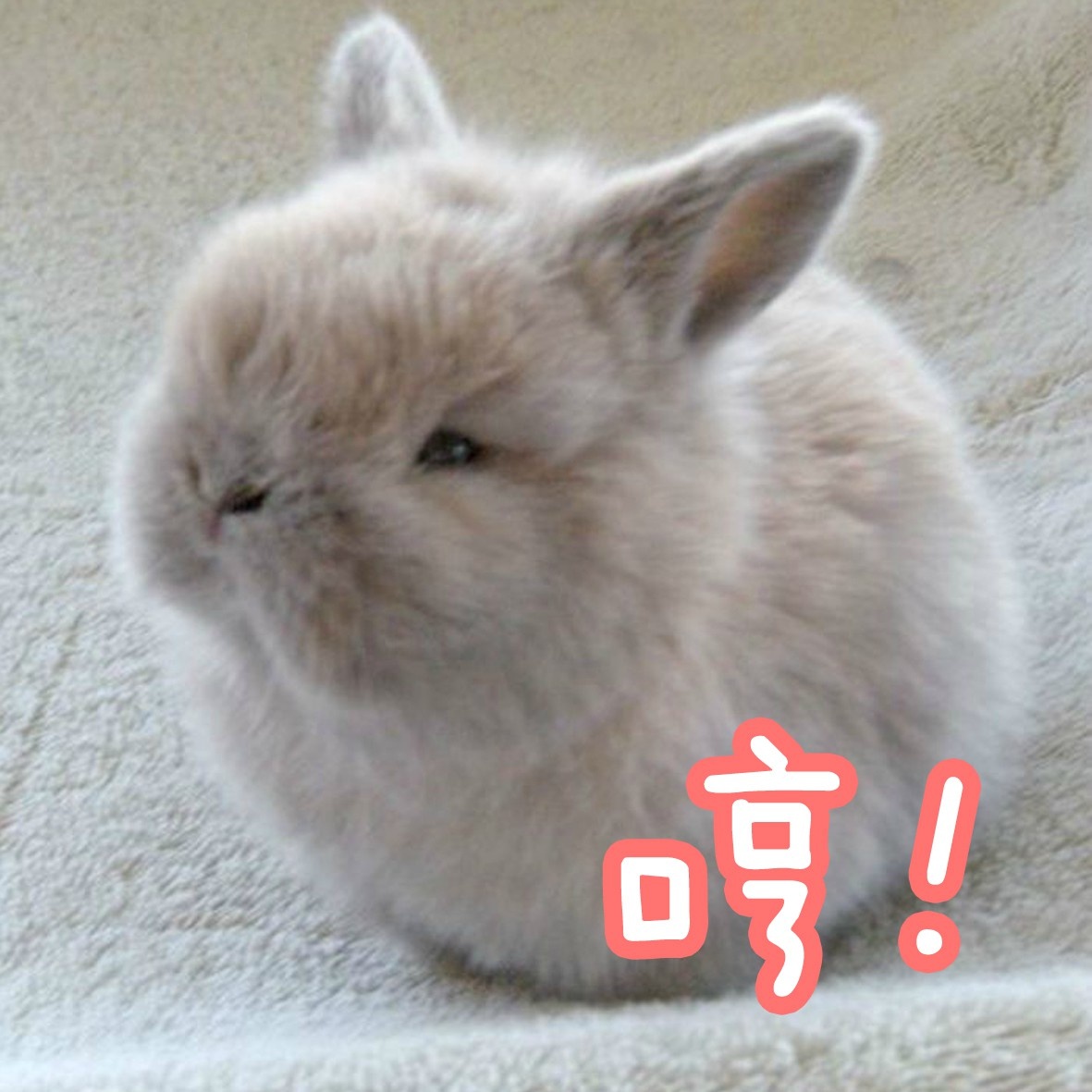 拿图点赞哦仙女专用小兔几表情包第一弹