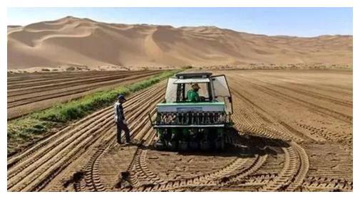 中国小伙放弃卖石油，在沙漠中种青菜，成卡塔尔前100名富豪休闲区蓝鸢梦想 - Www.slyday.coM