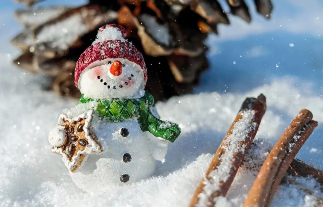 除夕版十二时辰出炉！孩子开启精彩虎年，照做准没错｜特别关注休闲区蓝鸢梦想 - Www.slyday.coM