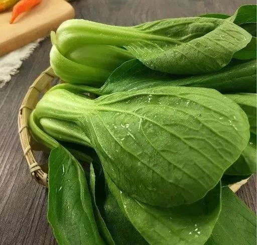 男子把上海青种成万年青一棵菜传三代网友评论亮了