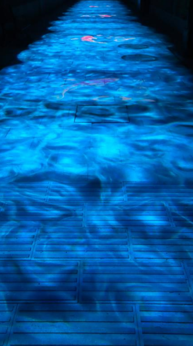 东阿阿胶城迎春灯会，大年初一等你来休闲区蓝鸢梦想 - Www.slyday.coM