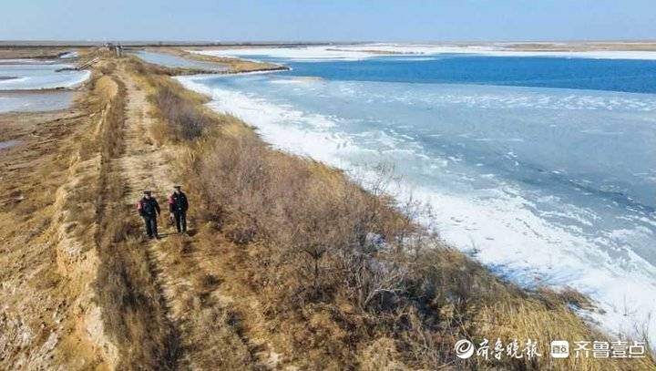 在黄河入海口，“生态警长”的新年是怎样的休闲区蓝鸢梦想 - Www.slyday.coM
