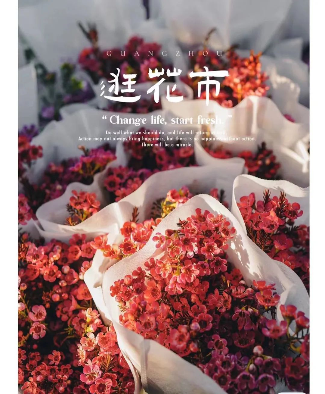 逛花市、现金红包、水上市集快闪店、新年锦鲤…统统给你！春节就来新安江休闲区蓝鸢梦想 - Www.slyday.coM