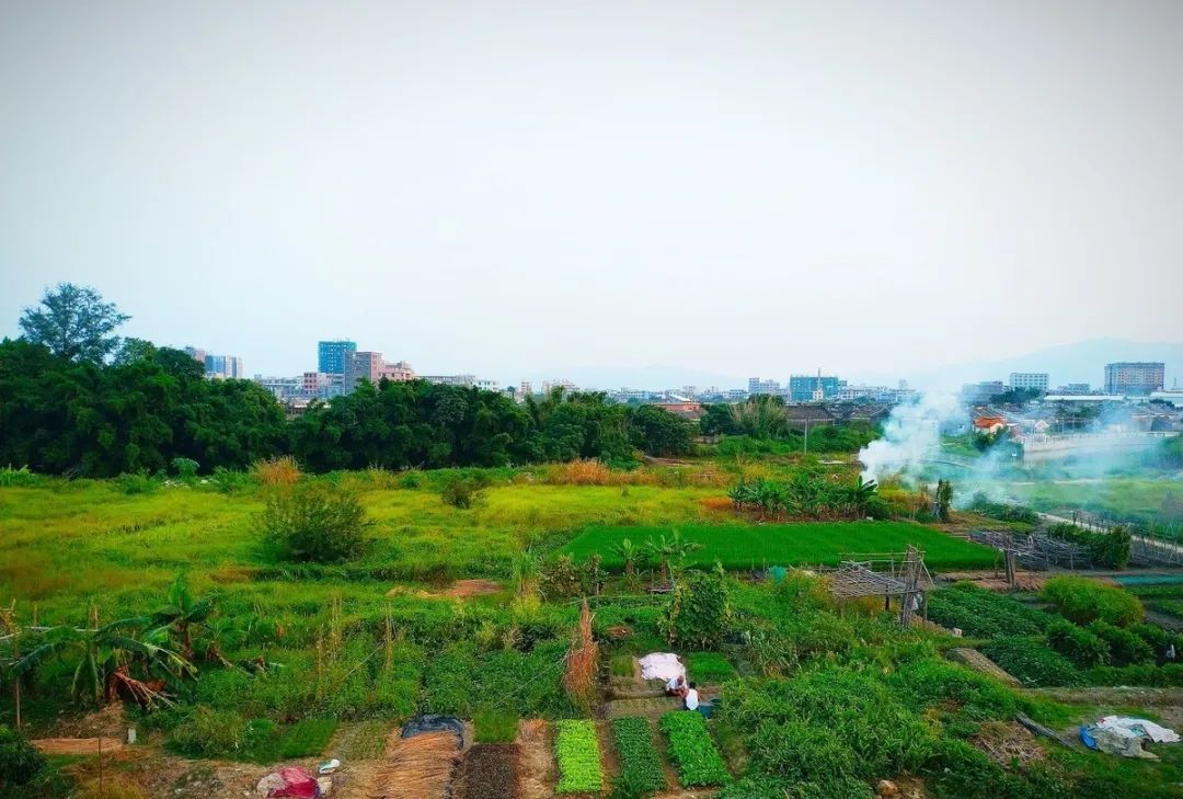 孟浩然大年初一写的这首诗,达观自适,耿介不随,意味深长休闲区蓝鸢梦想 - Www.slyday.coM 孟浩然大年初一写的这首诗,达观自适,耿介不随,意味深长休闲区蓝鸢梦想 - Www.slyday.coM