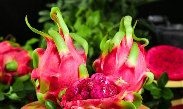 大年初一，老规矩不能坏，记得摆6样、忌3事，新的一年顺顺当当！休闲区蓝鸢梦想 - Www.slyday.coM