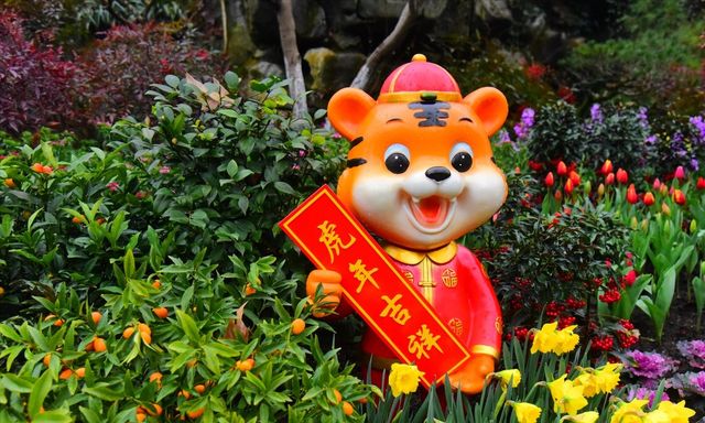 大年初一，老规矩不能坏，记得摆6样、忌3事，新的一年顺顺当当！休闲区蓝鸢梦想 - Www.slyday.coM