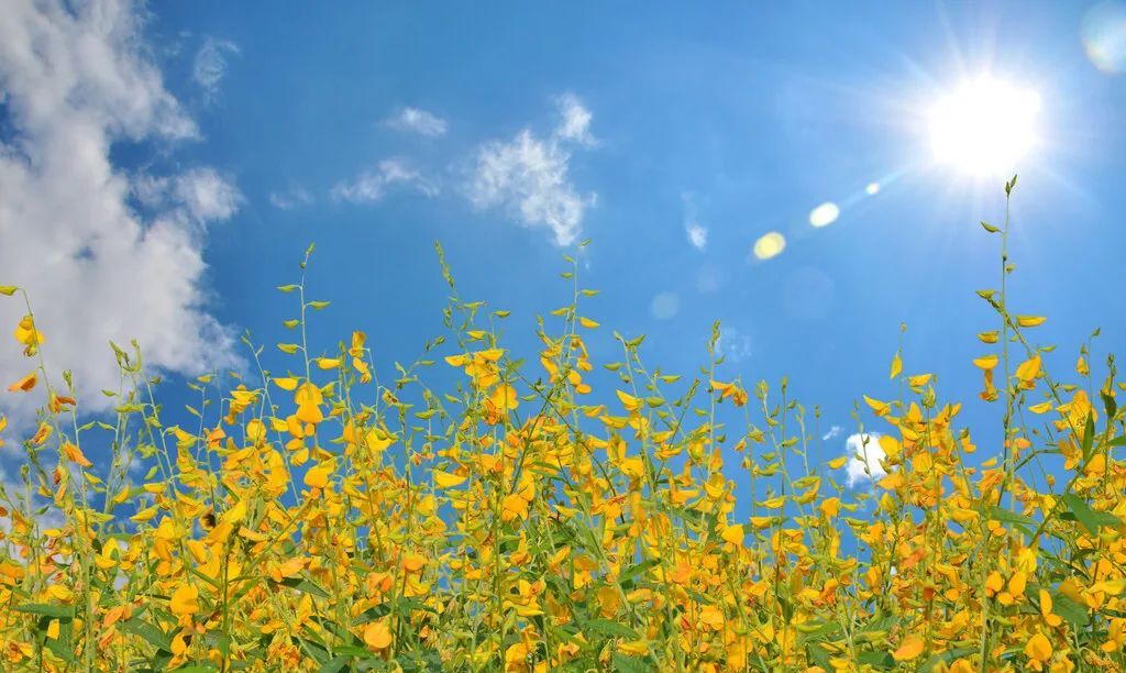 孟浩然大年初一写的这首诗,达观自适,耿介不随,意味深长休闲区蓝鸢梦想 - Www.slyday.coM 孟浩然大年初一写的这首诗,达观自适,耿介不随,意味深长休闲区蓝鸢梦想 - Www.slyday.coM