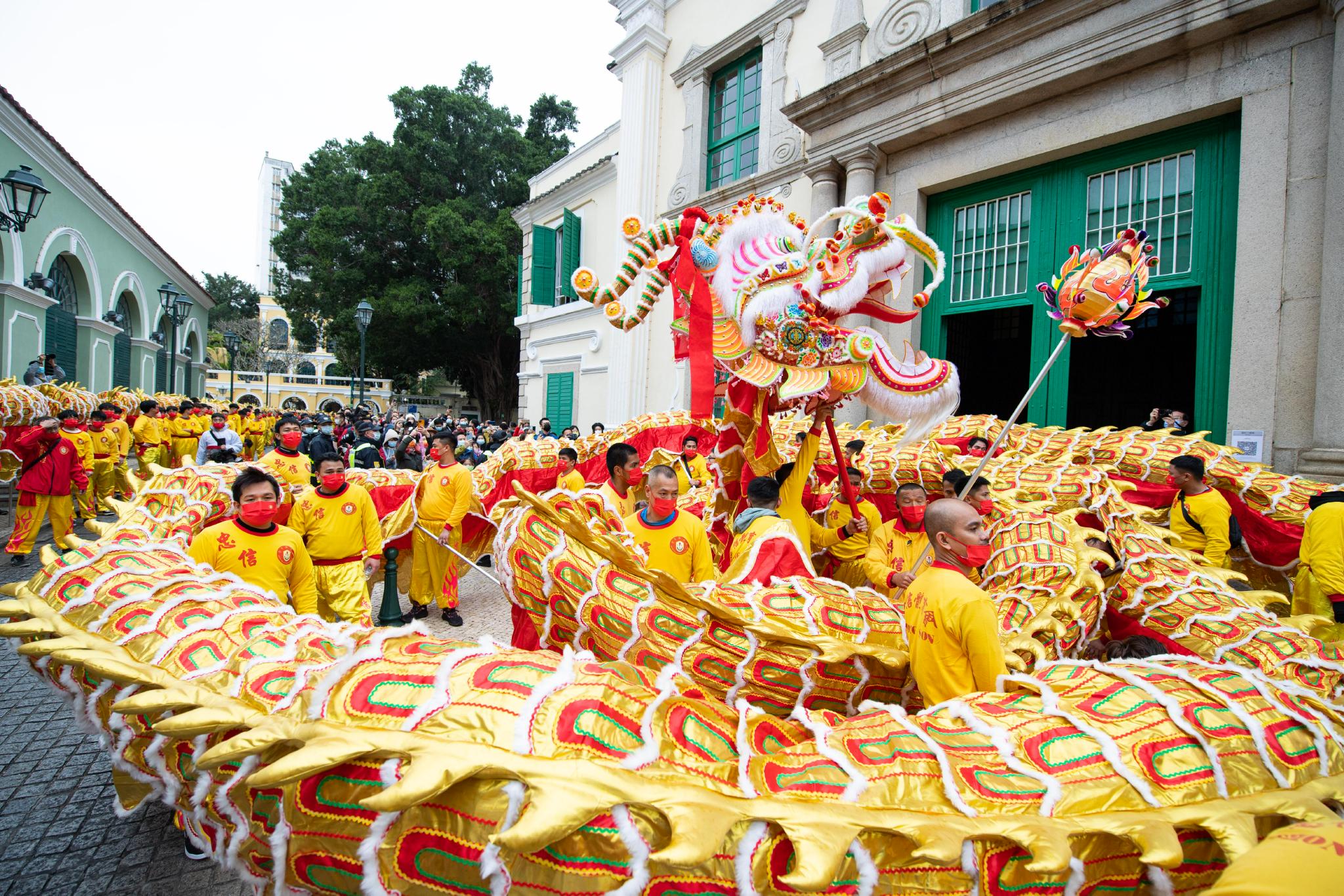 澳门:金龙巡游贺新春|澳门|大三巴牌坊_新浪新闻