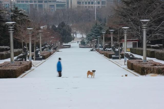 如何拍好雪景？掌握这几个关键点，照片不会差休闲区蓝鸢梦想 - Www.slyday.coM