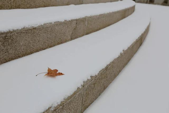 如何拍好雪景？掌握这几个关键点，照片不会差休闲区蓝鸢梦想 - Www.slyday.coM