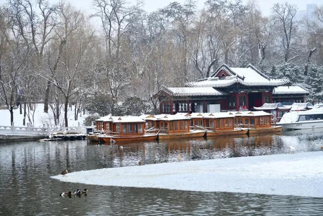 如何拍好雪景？掌握这几个关键点，照片不会差休闲区蓝鸢梦想 - Www.slyday.coM