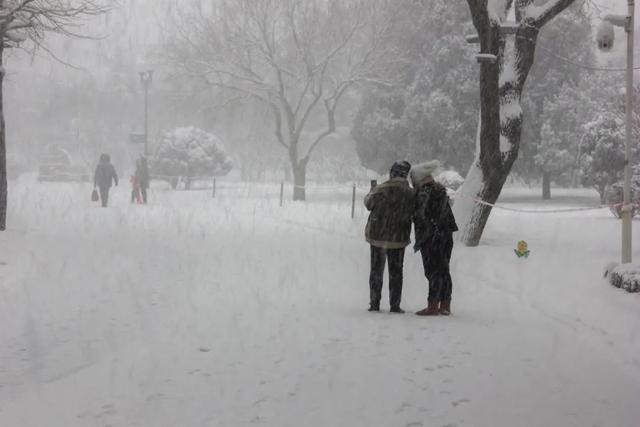 如何拍好雪景？掌握这几个关键点，照片不会差休闲区蓝鸢梦想 - Www.slyday.coM