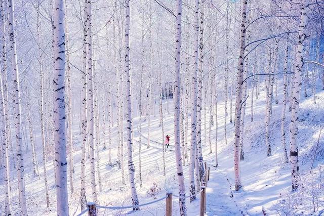 如何拍好雪景？掌握这几个关键点，照片不会差休闲区蓝鸢梦想 - Www.slyday.coM